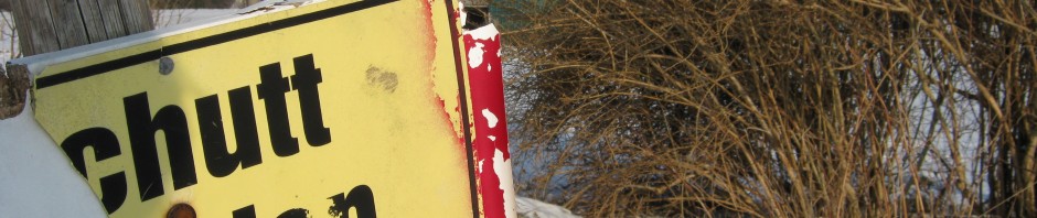 20110305alleeedeka 003